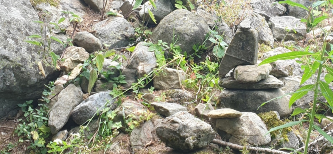 Psychologue Morsang sur Orge